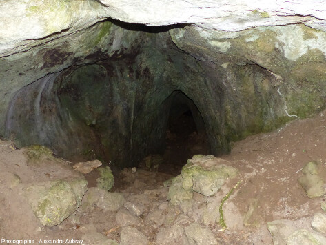 Grotte de la Sébillère, forêt du Causse de L'Hospitalet-du-Larzac (Aveyron)