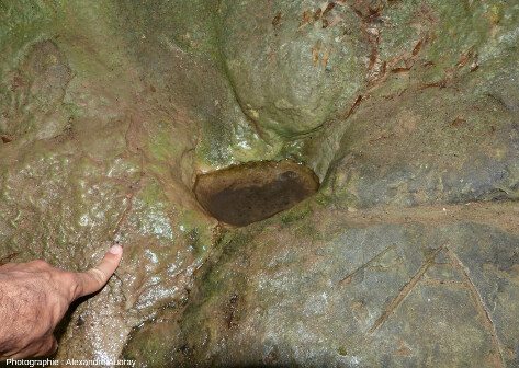 Cavité remplie d'eau dans la grotte de la Sébillère, forêt du Causse de L'Hospitalet-du-Larzac (Aveyron)