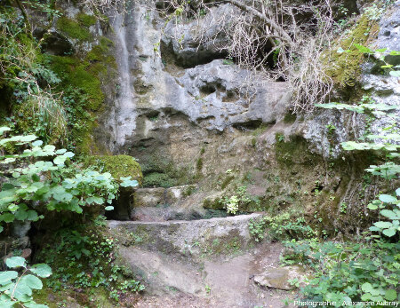 Bassin aménagé au bas d'une paroi pour recueillir l'eau, forêt du Causse de L'Hospitalet-du-Larzac (Aveyron)