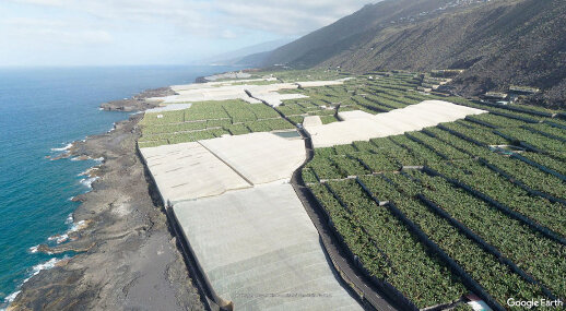 Vue de la plaine côtière aux environs du village de Puntalarga, quasiment intégralement plantée de bananeraies dans ce secteur, La Palma, Canaries