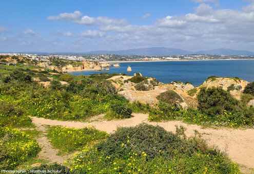Les falaises miocènes de Ponta da Piedade, Algarve (Sud du Portugal), et leur aspect découpé en dentelle de pierre ocre caractéristique