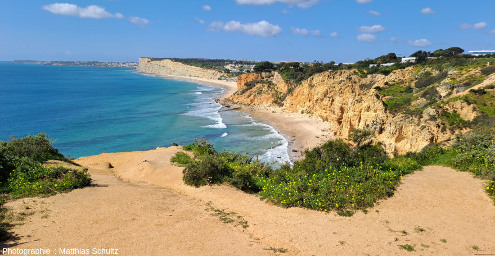 Un promontoire dans les falaises miocènes de Ponta da Piedade, Algarve (Sud du Portugal)