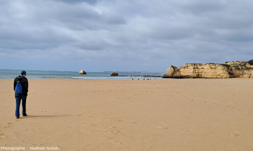 Les falaises miocènes immédiatement à l'Ouest de Lagos, Algarve (Sud du Portugal)