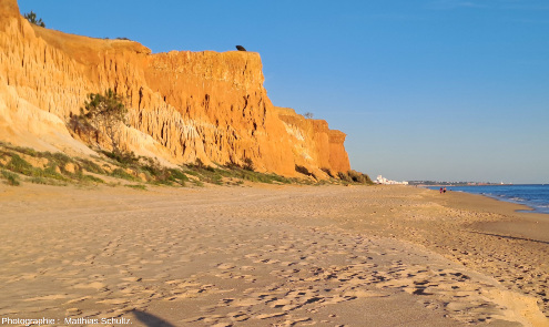 Les falaises quaternaires dominant la plage de Falésia, Algarve (Sud du Portugal)