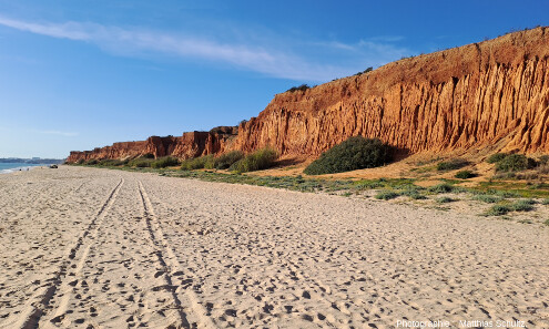 Les falaises quaternaires dominant la plage de Falésia, Algarve (Sud du Portugal)
