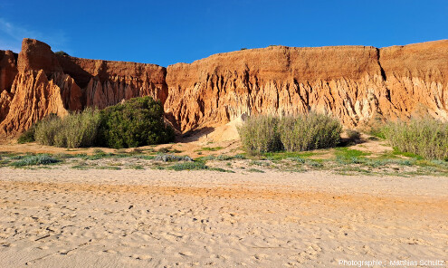 Les falaises quaternaires dominant la plage de Falésia, Algarve (sud du Portugal)