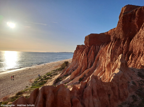 À mi-hauteur des falaises quaternaires dominant la plage de Falésia, Algarve (Sud du Portugal)