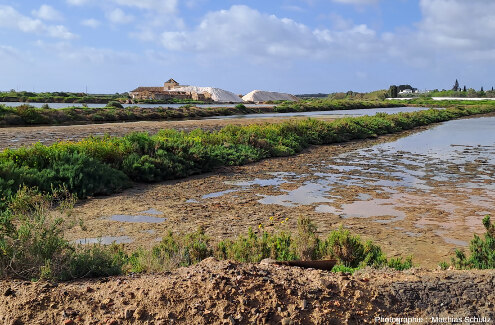 Marais salants en exploitation à Tavira, dans la Ria Formosa, Algarve (Sud du Portugal)