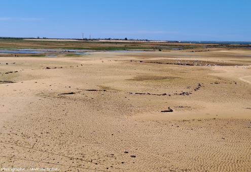 Paysage typique de la Ria Formosa sur une ile-barrière sableuse à proximité d'Olhao, Algarve (Sud du Portugal)