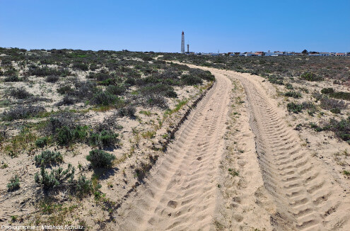 Paysage d'ile-barrière sableuse à proximité d'Olhao, dans la Ria Formosa, Algarve (Sud du Portugal)