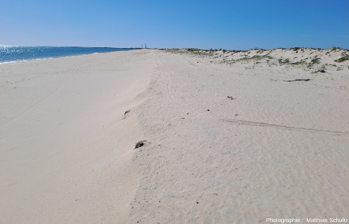 Dunes et plage Sud, côté mer ouverte (visible à gauche de l'image), d'une île-barrière sableuse à proximité d'Olhao, dans la Ria Formosa, Algarve (Sud du Portugal)