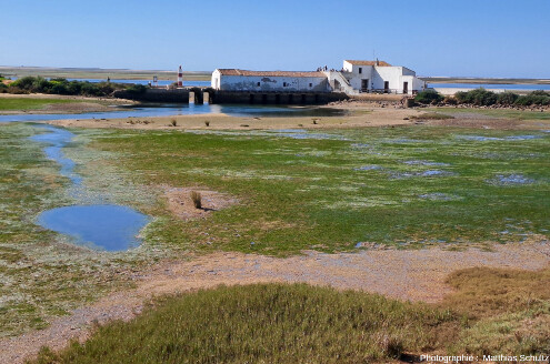 Vasières et ancien moulin à marées dans le Centre d'Éducation Environnementale de Marim, sur le littoral à proximité d'Olhao, dans la Ria Formosa, Algarve (Sud du Portugal)