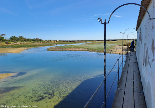 Vasières, cordons sableux, pinède, et ancien moulin à marées dans le Centre d'Éducation Environnementale de Marim, sur le littoral à proximité d'Olhao, dans la Ria Formosa, Algarve (Sud du Portugal)