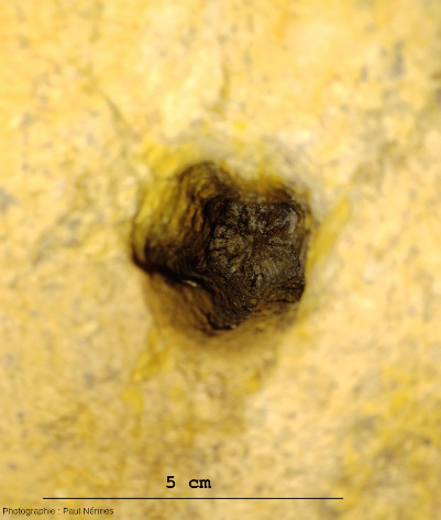 Trou de barre à mine dans la paroi d'une galerie de l'une des mines de Saint-Daumas (Var)