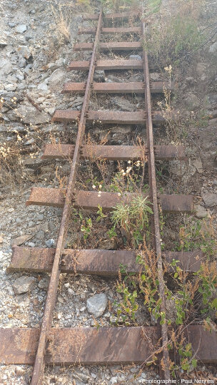 Rails métalliques en sortie de mine, massif des Maures (Var)