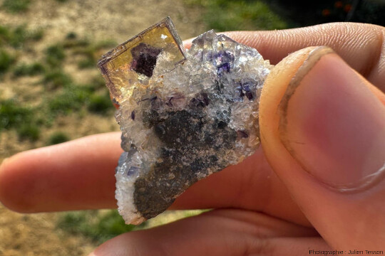 Fluorite violette dite “à fantôme”, mine de Fontsante (Var)