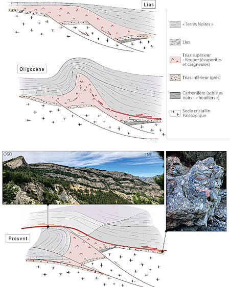 Évolution géodynamique de la région de Barles (Alpes-de-Haute-Provence) depuis le rifting mésozoïque jusqu'à aujourd'hui