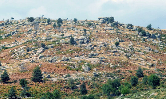 Vue générale sur le chaos granitique du hameau du Genest, Montselgues (Ardèche)