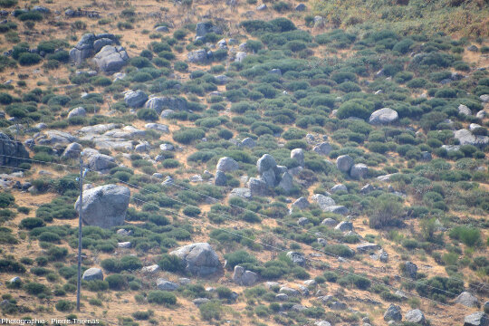 Chaos granitique, ruines de la Felgère, à quelques centaines de mètres au Sud-Ouest du hameau de La Borie (Montselgues, Ardèche)
