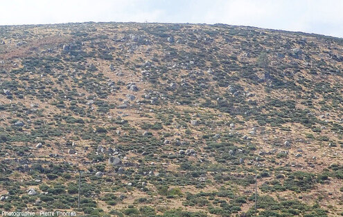 Vue générale sur le versant Est des ruines de la Felgère, à proximité du hameau de La Borie (Montselgues, Ardèche)