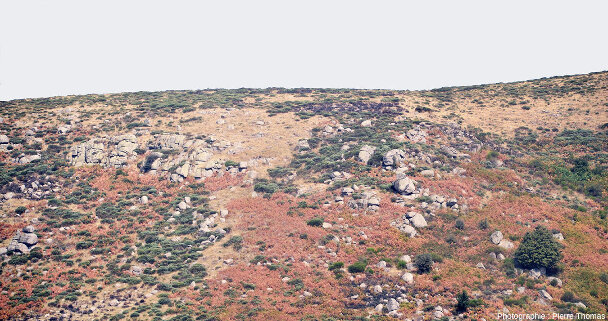 Chaos granitique sur le versant Ouest de la Serre de la Dame, Montselgues (Ardèche)