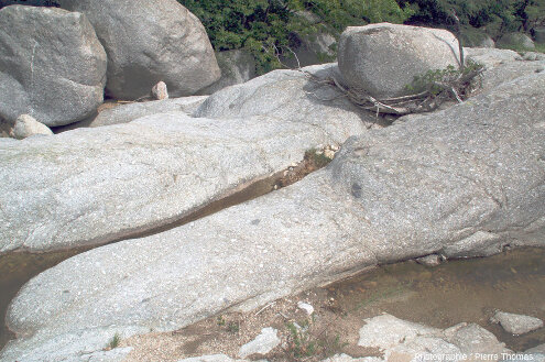Surfaces polies du granite de la Borne (Ardèche) dans le lit d'un ruisseau