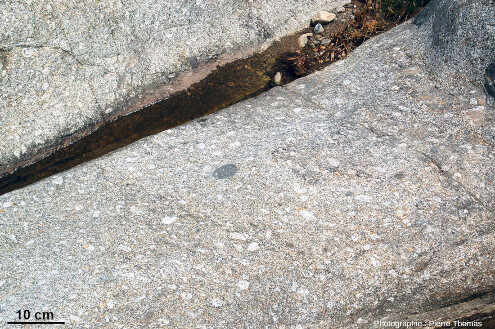 Zoom sur des surfaces polies du granite de la Borne (Ardèche) dans le lit d'un ruisseau