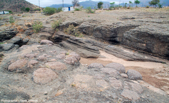 Altération en boule dans une péridotite du Bushveld (Afrique du Sud)