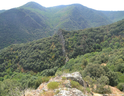 Vue en direction du Sud sur le filon de quartz des Aidons (également orthographié Aydons), commune de Pied de Borne (Lozère)