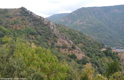 Partie centrale du filon des Aidons (Pied de Borne, Lozère)