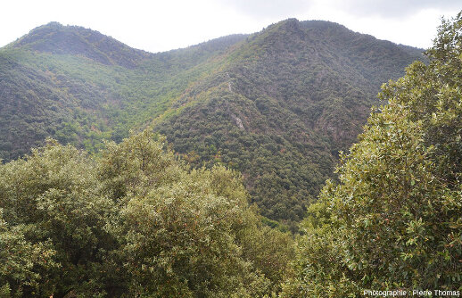 Le filon de quartz des Aidons (Lozère) n'est pas le seul de la région