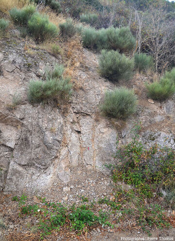 Un petit filon de quartz (≈ 3 cm de large) qui recoupe le granite porphyroïde de la Borne (Lozère)