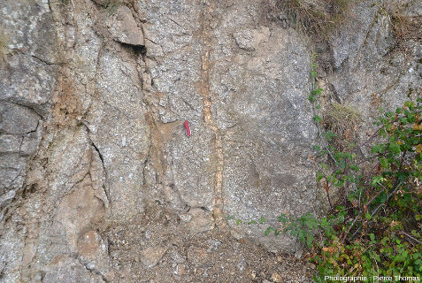 Vue rapprochée sur un petit filon de quartz (≈ 3 cm de large) qui recoupe le granite porphyroïde de la Borne (Lozère)