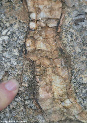 Zoom sur un petit filon de quartz (≈ 3 cm de large) qui recoupe le granite porphyroïde de la Borne (Lozère)