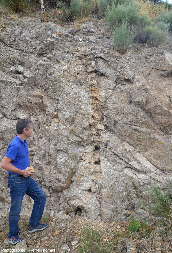 Un filon de barytine (≈ 15 cm de large) situé à quelques mètres du fin filon de quartz des figures 19 à 21 (Lozère)