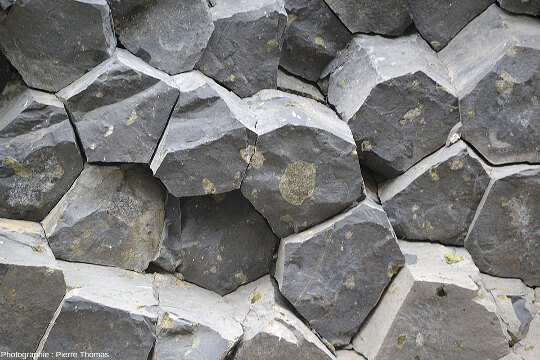 Prismes de basaltes contenant de beaux nodules (ou xénolites) de péridotite (lherzolite), ancienne carrière du volcan de Peylenc, Saint-Pierre-Eynac (Haute-Loire)