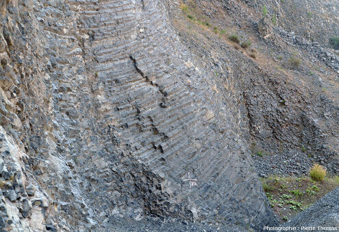 Prismes à la limite entre la zone non exploitée et la zone actuellement exploitée, en 2025, de la carrière de basalte de Peylenc (Haute-Loire)