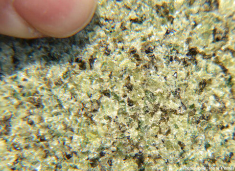 Détail d’un xénolite de lherzolite de la carrière de Peylenc (Haute-Loire)