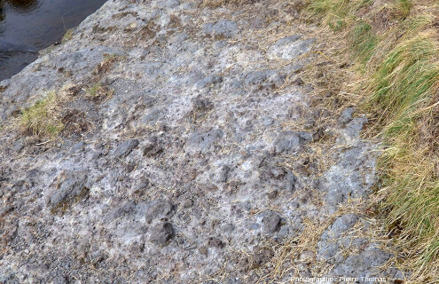 Détail de la brèche à éléments grossiers quasi exclusivement basaltiques, sans stratification visible, entaillée par le Salin (Haute-Loire)