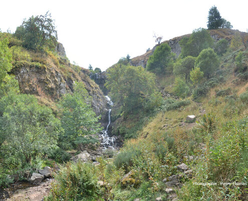 Vue depuis le sol du fond de la vallée des figures précédentes, cascade du Salin (Haute-Loire)