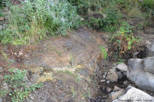 Petite source ferrugineuse située au fond de la petite vallée des figures précédente, cascade du Salin (Haute-Loire)