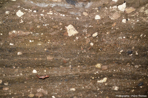 Vue rapprochée sur les parois d'une cave de Clermont-Ferrand montrant bien la nature stratifiée et bréchique de la roche