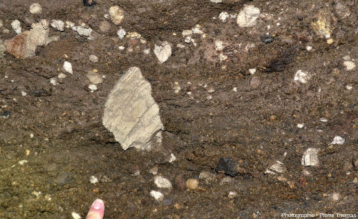 Détail sur les parois d'une cave de Clermont-Ferrand (Puy-de-Dôme)