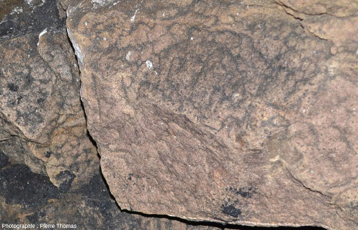 Détail d'un gros bloc de la paroi d'une cave de Clermont-Ferrand (Puy-de-Dôme)