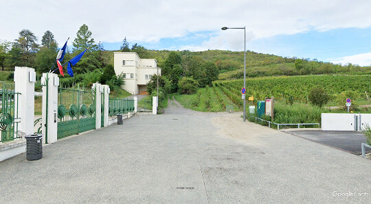 Illustration du renouveau du vignoble auvergnat un siècle après sa quasi-disparition à la fin du XIXe siècle