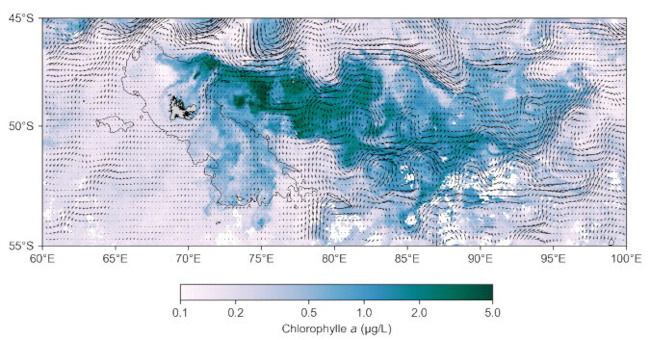 Concentration en chlorophylle a (satellite MODIS) et courants géostrophiques dérivés de la topographie dynamique (produit AVISO issu de plusieurs satellites altimétriques)