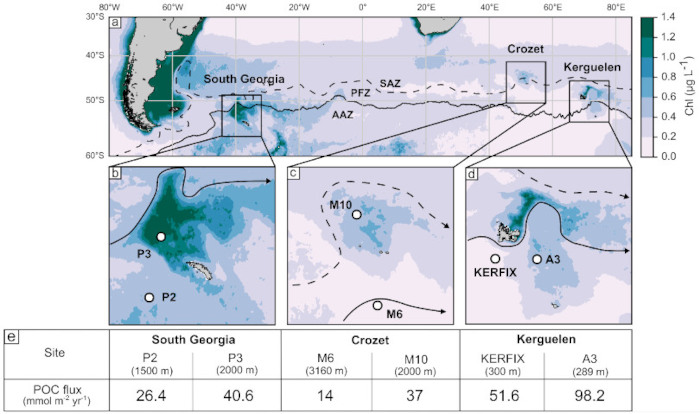 Effet de la fertilisation naturelle en fer par les iles de l'océan Austral sur la pompe biologique de carbone