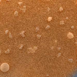 Vue de détail du sol martien présentant de gros grains (sphérules) posés sur une fine couche de sable