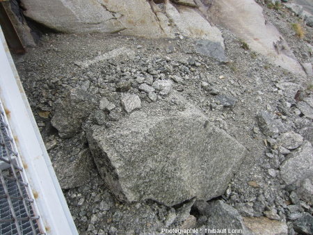 Éléments granitiques de la moraine latérale gauche de la Mer de Glace