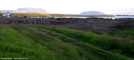 Extrémité de la coulée Eldhraun d'aout 1729 dans le lac Mývatn au pied du volcan Krafla (Islande)